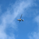 Illustration for article titled Flying the police aircraft of the future